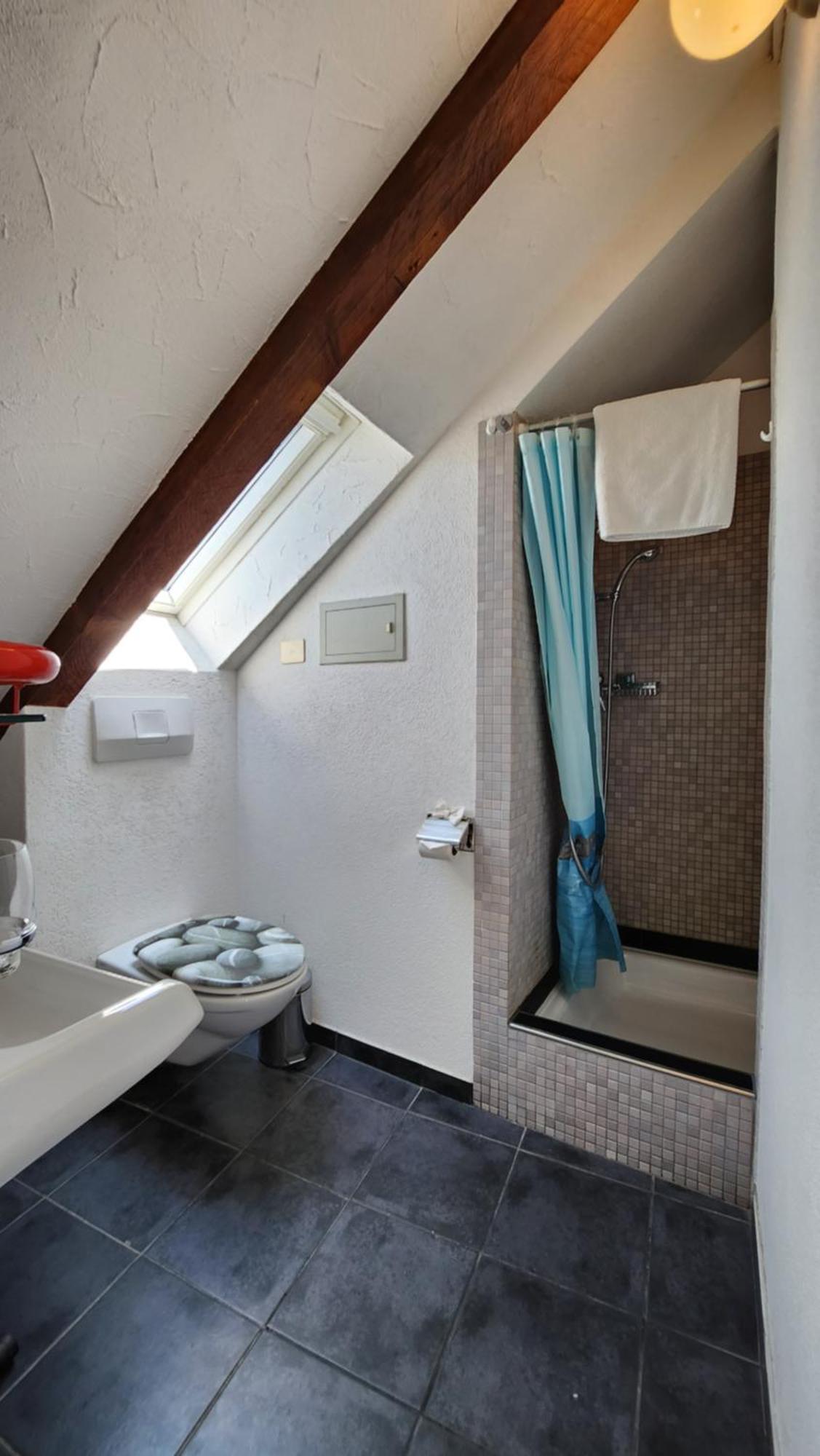 Trend Area Attic Seefeld Zurich Exterior photo