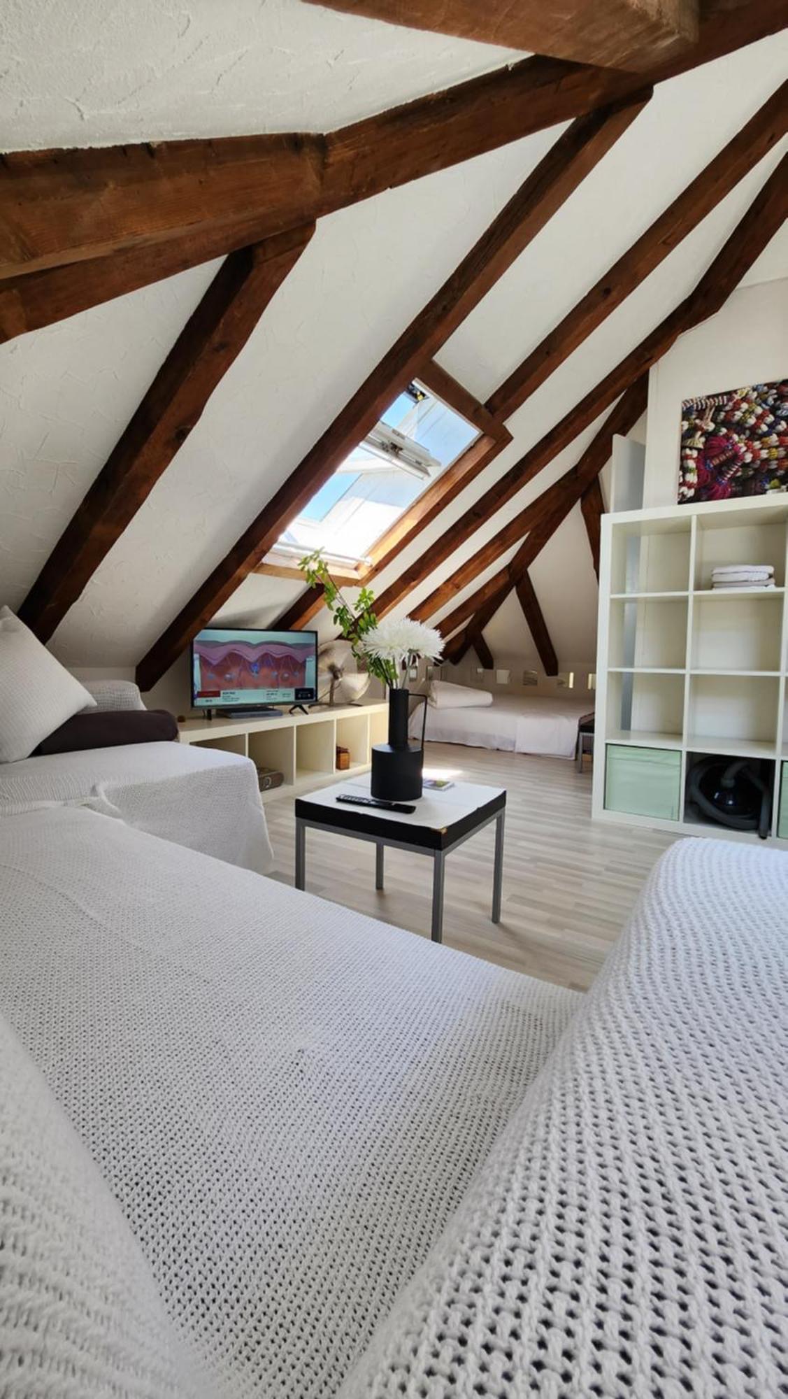 Trend Area Attic Seefeld Zurich Exterior photo