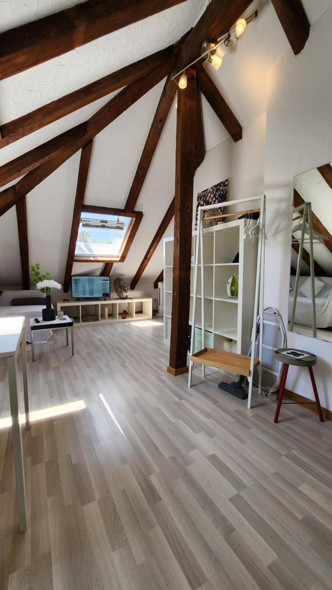 Trend Area Attic Seefeld Zurich Exterior photo